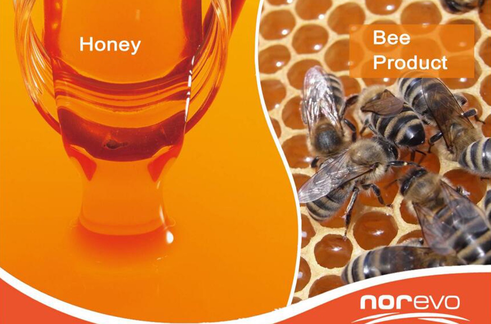 蜂蜜(Honey)： 珍貴的天然甜味劑
